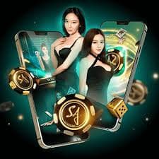 dk games-এ ওয়াইল্ড স্লট শুরু করার ধাপগুলো